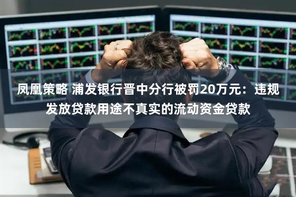 凤凰策略 浦发银行晋中分行被罚20万元：违规发放贷款用途不真实的流动资金贷款