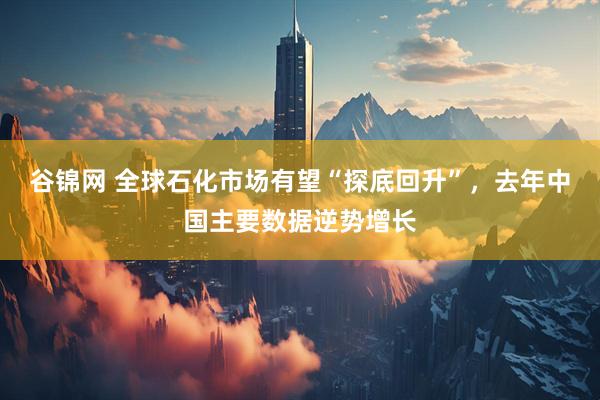 谷锦网 全球石化市场有望“探底回升”，去年中国主要数据逆势增长