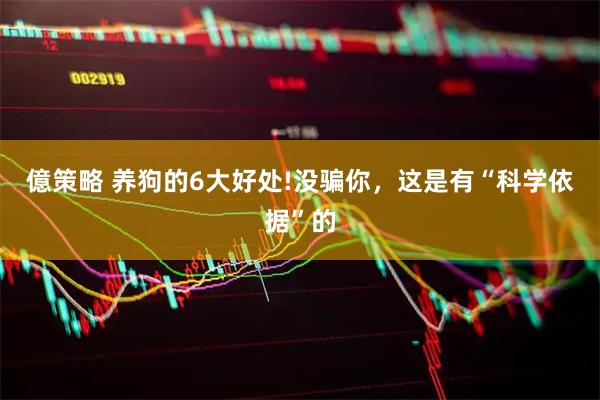 億策略 养狗的6大好处!没骗你，这是有“科学依据”的