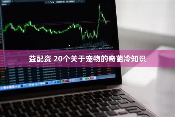 益配资 20个关于宠物的奇葩冷知识