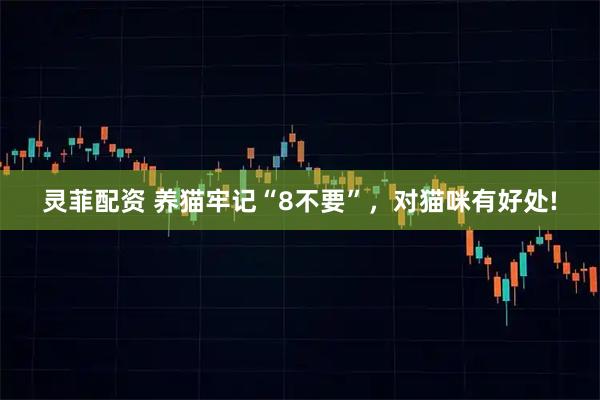 灵菲配资 养猫牢记“8不要”,对猫咪有好处!