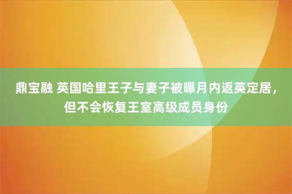 鼎宝融 英国哈里王子与妻子被曝月内返英定居，但不会恢复王室高级成员身份